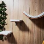 6bb30b7e44b833cb24c88753d0c8465e